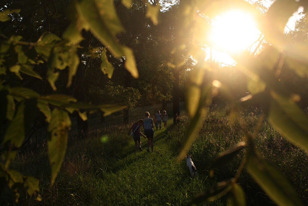 A Green Gesture by Rancilio Group: A Hundred Trees for the Valera Forests